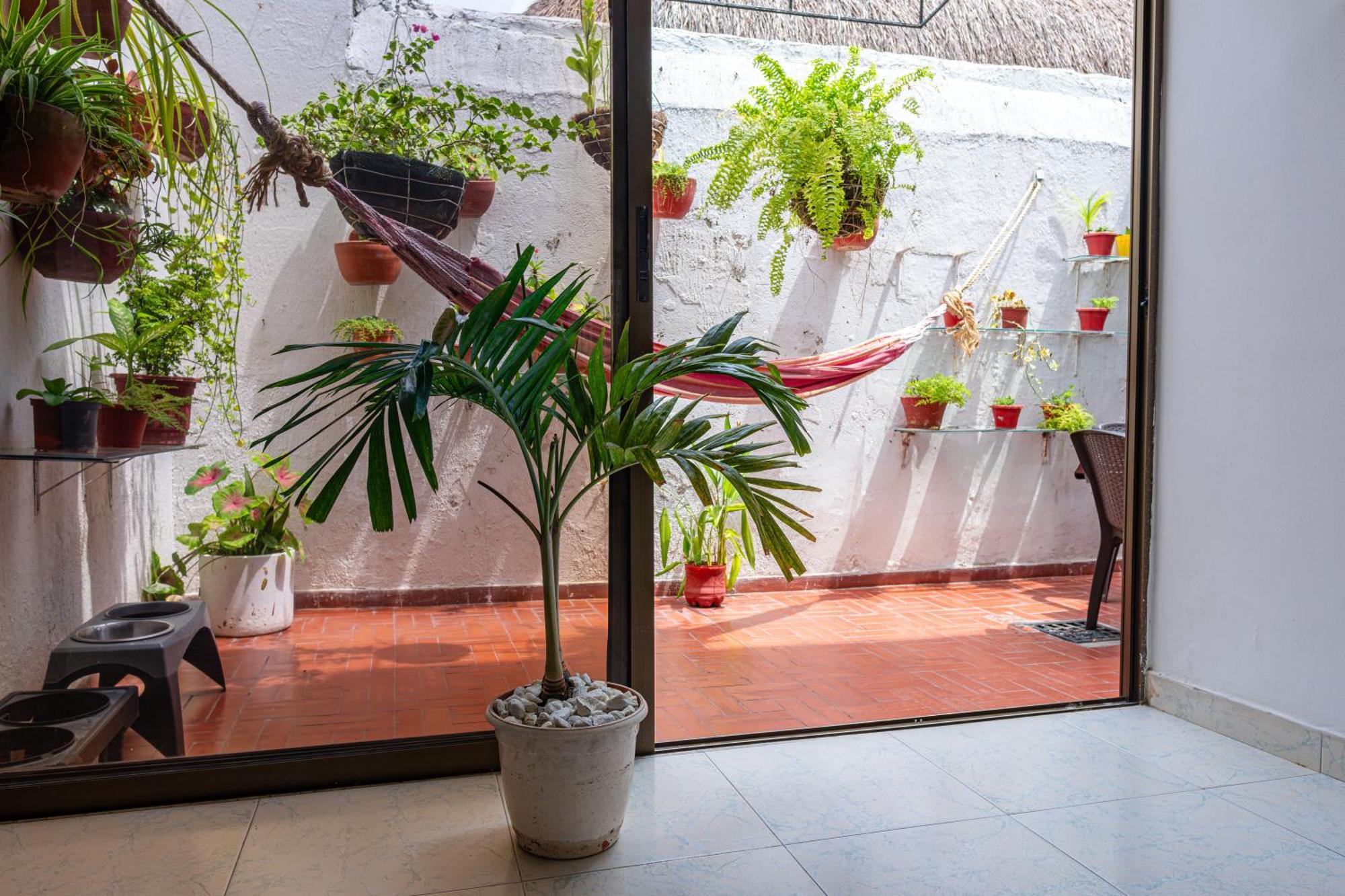Oresca Hostel Cartagena Exterior photo